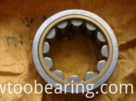 Original Japan NSK High Quality (Nu228M) Cylindrical Roller Bearing